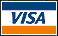 Visa Card Logo